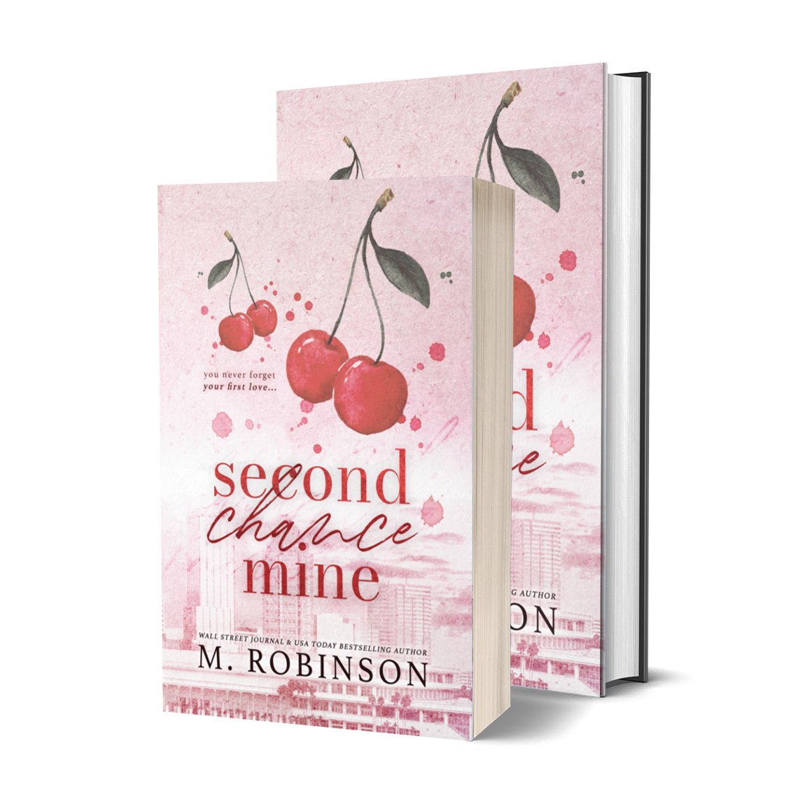 Second Chance Mine Discreet Cover