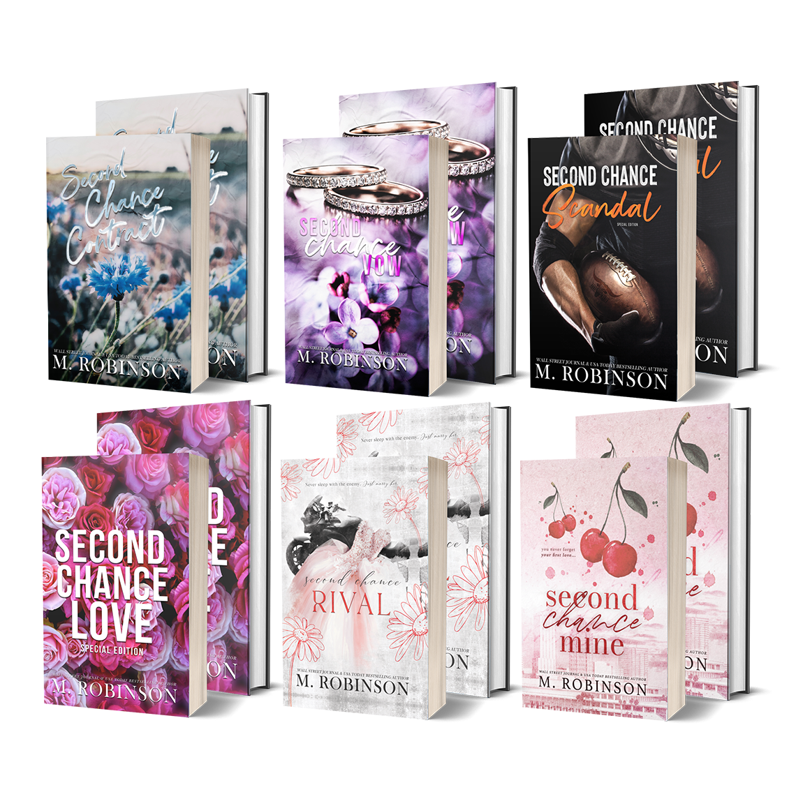 Second Chance Discreet Bundle (6 Books)