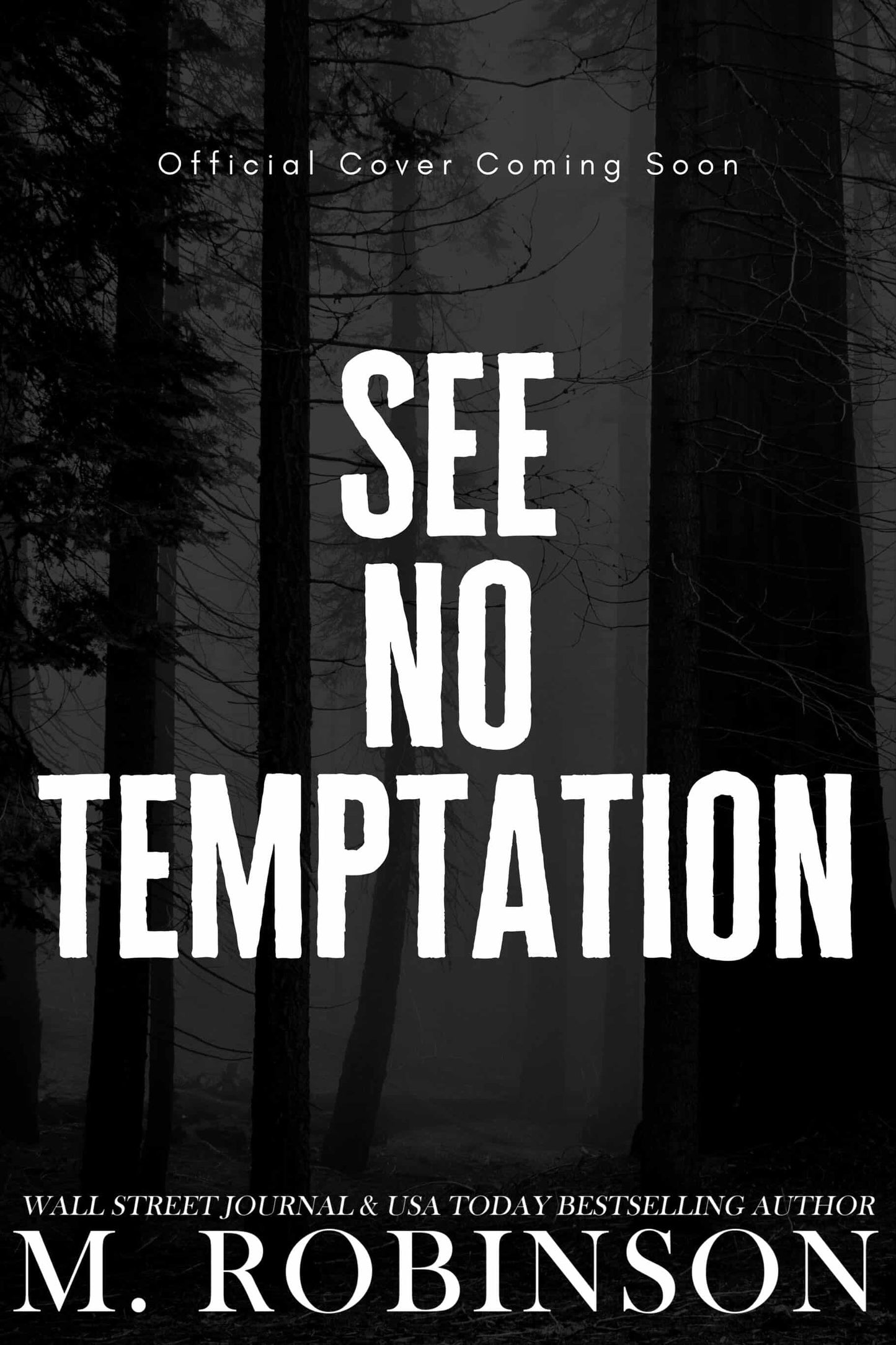 See No Temptation (BOOK 3 PRE-ORDER)