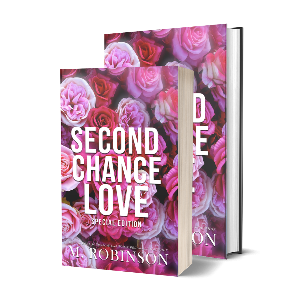 Second Chance Love Discreet Cover